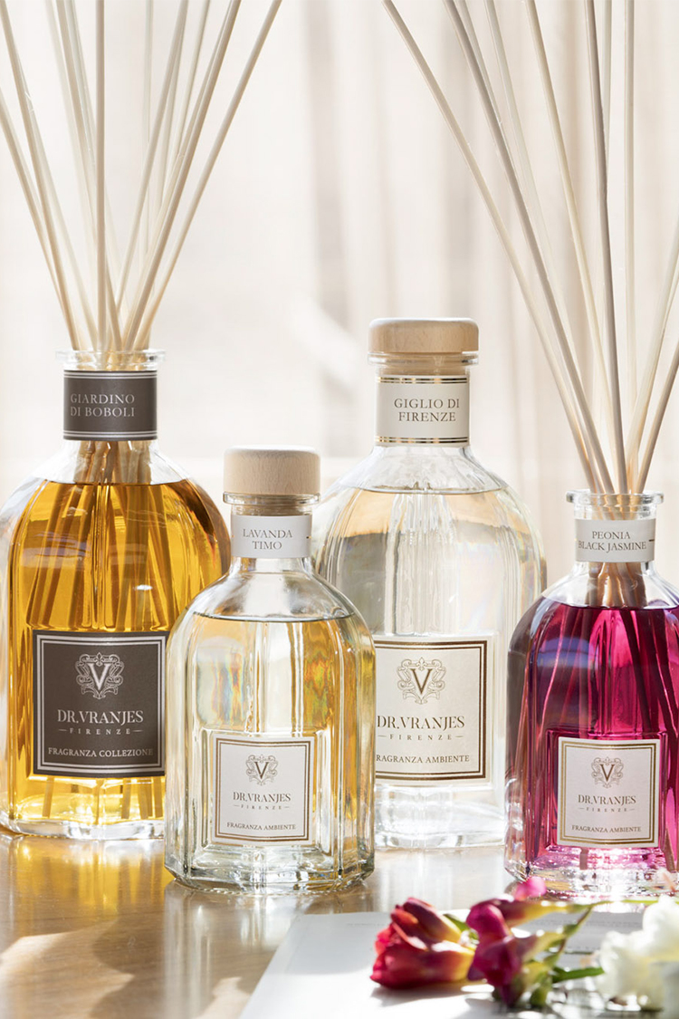 ドットール・ヴラニエス 画像2